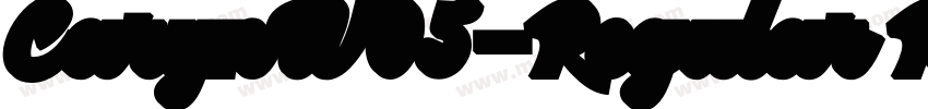 CarynW05-Regular Reg字体转换